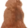 Best Beliani Lampaantalja Vaaleanruskea Uluru